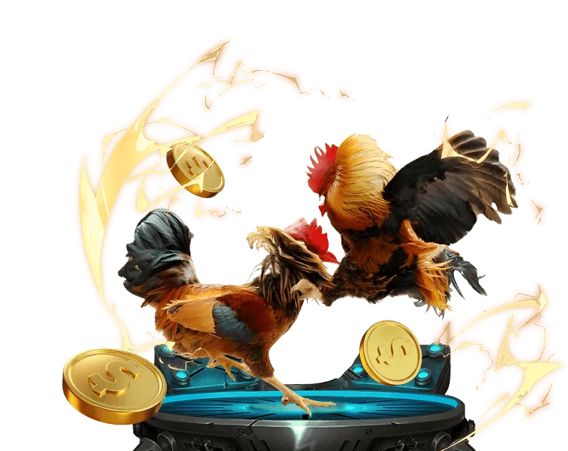 Cá cược tennis tại XXWIN